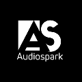 B2B.Audiospark